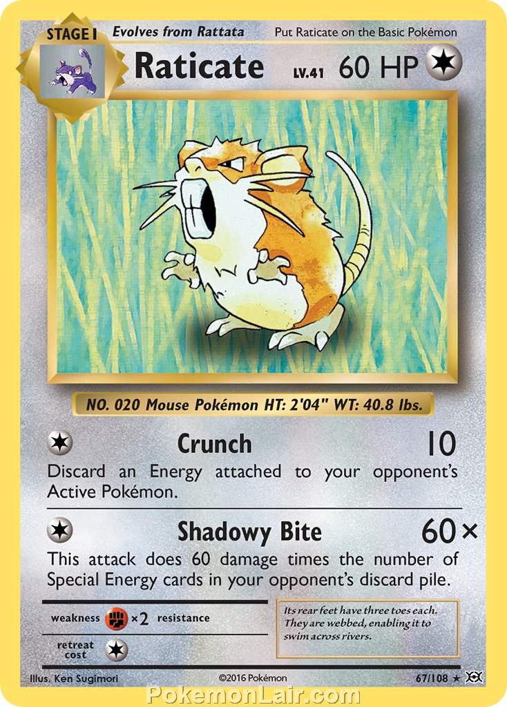 2016 Pokemon Trading Card Game Evolutions Price List – 67 Raticate